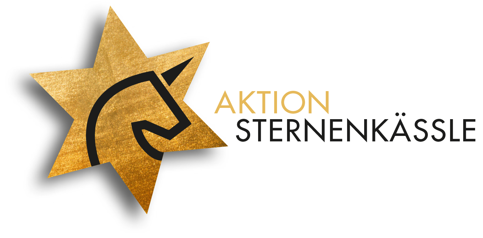 Aktion Sternenkässle